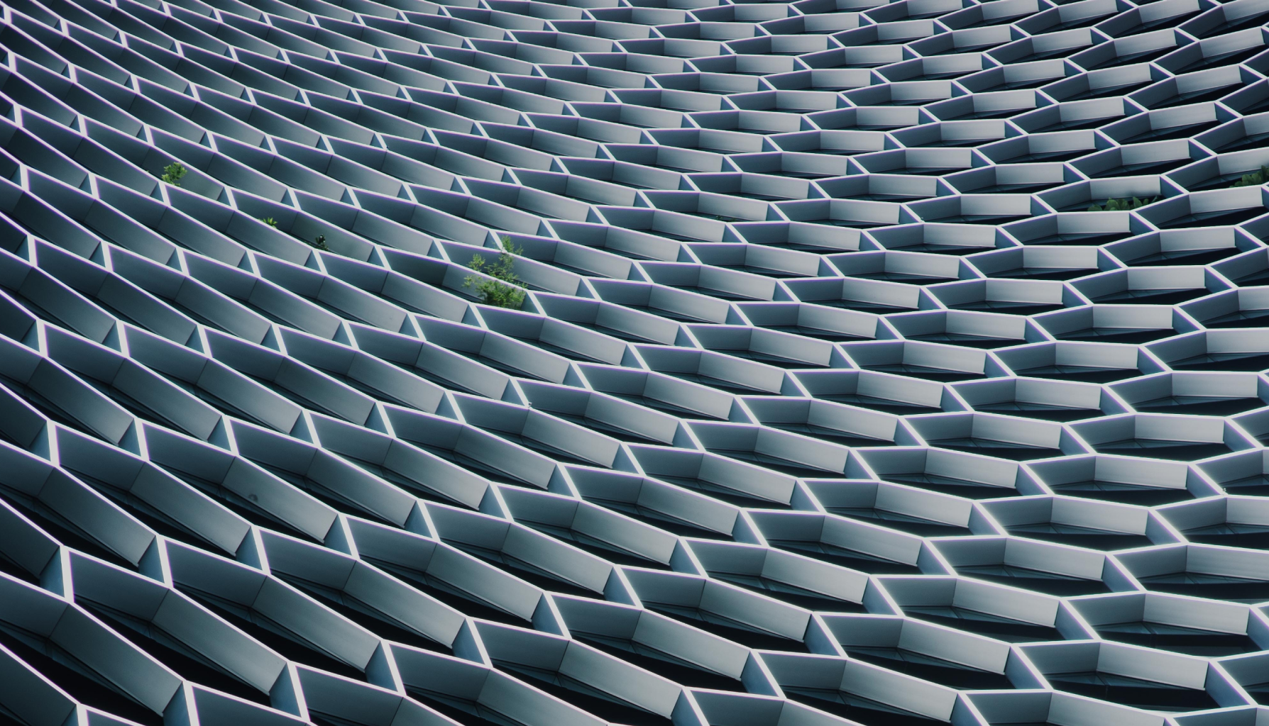 주)케이브레인컴퍼니 | 연봉, 직원수, 복지 등 | 잡다